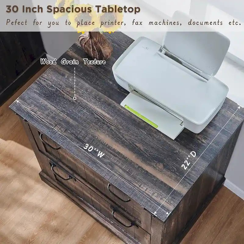 2-Drawer Farmhouse Lateral File Cabinet with Built-In Hanging Rods for A4 Letter and Legal Files